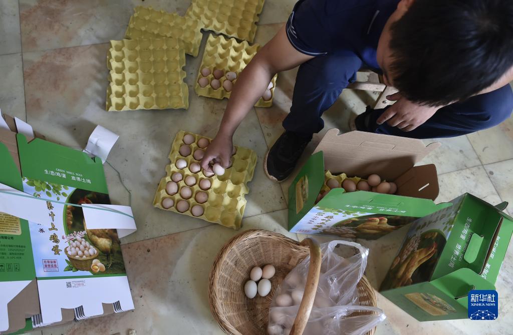 大红鹰游戏线路